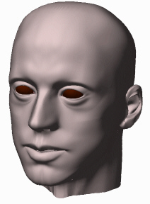 3dzzd